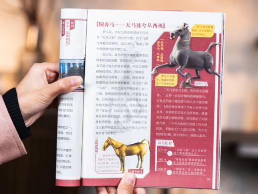 《少年游学小全书》（全15册）| 带孩子从中国游向世界，边游边学，一次打卡全国34座热门城市，国内外100+一级博物馆，8000+知识点收入囊中，实现地理、历史、人文、艺术全领域通识 商品图8