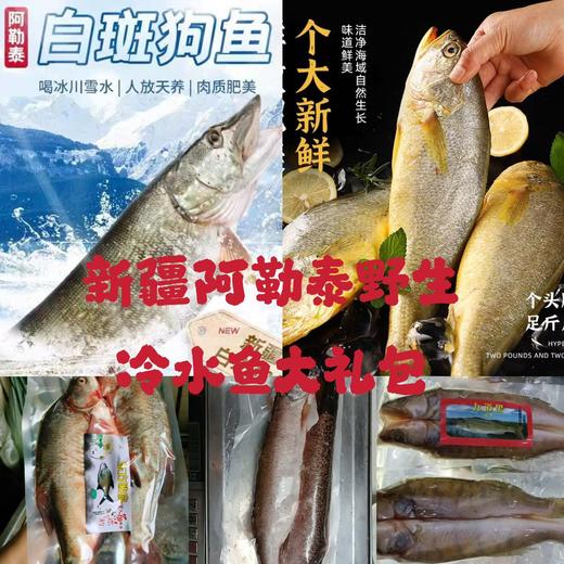 新疆正宗阿勒泰乌伦古湖野生净膛冷水鱼10斤礼盒装 / 保温箱新疆直发 商品图1