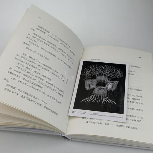 1980年代的爱情 野夫 著 商品图2