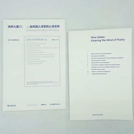 诗歌课书系·诗的九重门：如何进入诗歌的心灵世界（中英文）（美）简·赫斯菲尔德 著 商品图4