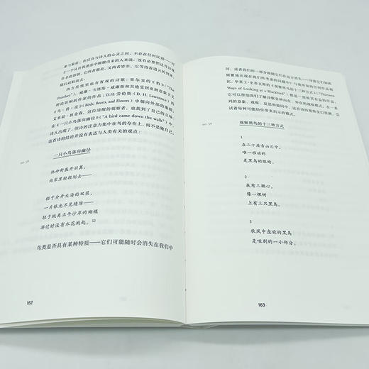 诗歌课书系·诗的九重门：如何进入诗歌的心灵世界（中英文）（美）简·赫斯菲尔德 著 商品图8