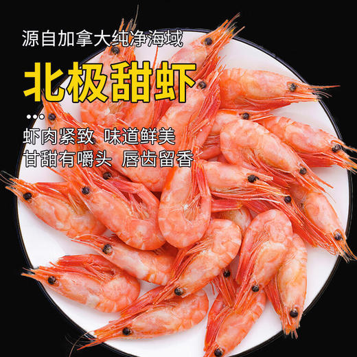 北极甜虾480±10g 原料原产国-加拿大 商品图0