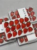 【顺丰包邮 1-2天到】上山下土 草莓 一整箱4版，每版15颗。 商品缩略图2