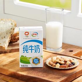伊利纯牛奶100%生牛乳250ml/盒  家庭儿童成人营养早餐奶