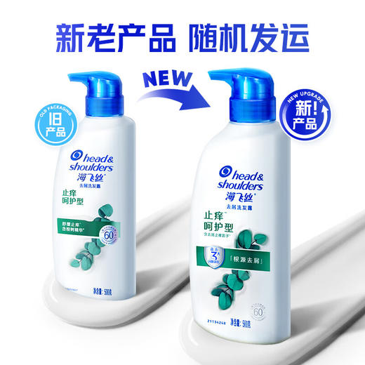 海飞丝去屑洗发露止痒呵护型500g 商品图7