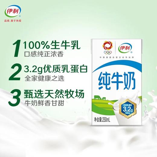 整箱 伊利纯牛奶100%生牛乳250ml*20盒 家庭儿童成人营养早餐奶 商品图4