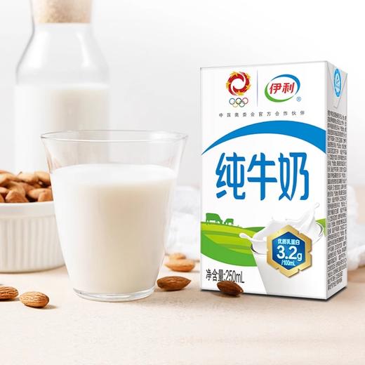 整箱 伊利纯牛奶100%生牛乳250ml*20盒 家庭儿童成人营养早餐奶 商品图3