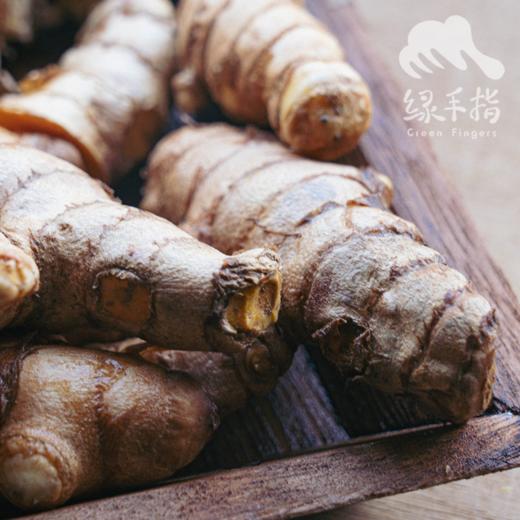 生态姜黄| 合作生产*Ecological turmeric| Partner Production 商品图1