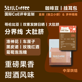 分界线 大肚脐 ｜WBC季军用豆2023