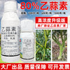 80%乙蒜素神州冠升级版大厂家杀菌剂烂秧病专用杀菌剂正品农用 商品缩略图1