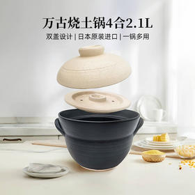【样品清仓特惠5折，仅一个无货退款】日本万古烧御饭锅陶锅汤锅4合2100ml（双盖）【不支持补差，非质量问题不退不换】S
