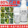 80%乙蒜素神州冠升级版大厂家杀菌剂烂秧病专用杀菌剂正品农用 商品缩略图3