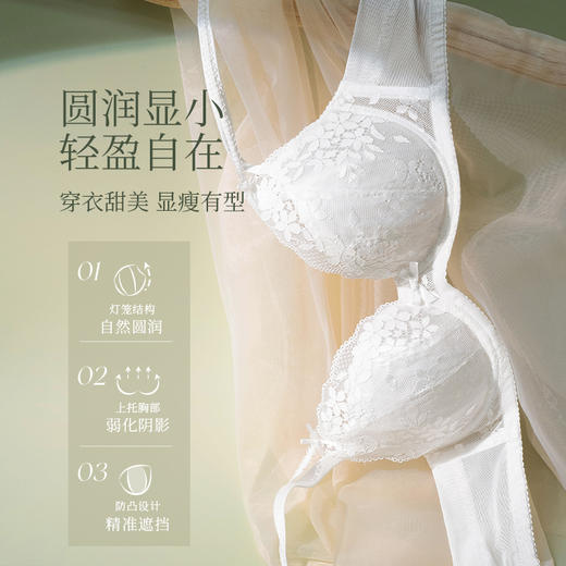 [悸动]大胸显小超薄蕾丝文胸大胸显瘦显小聚拢承托内衣双肩带内衣女 商品图1