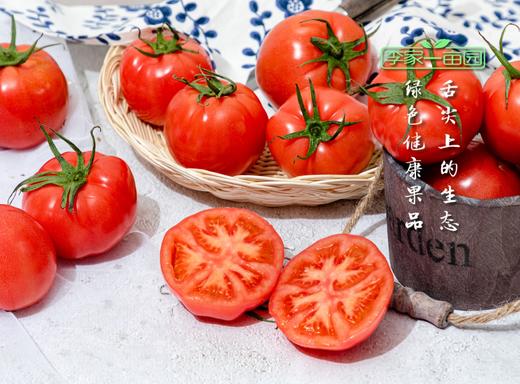 番甜乐--牛奶番茄--营养健康的番茄之旅 商品图2