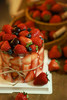 红莓盛宴 商品缩略图2
