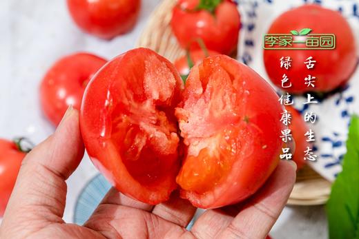 番甜乐--牛奶番茄--营养健康的番茄之旅 商品图4