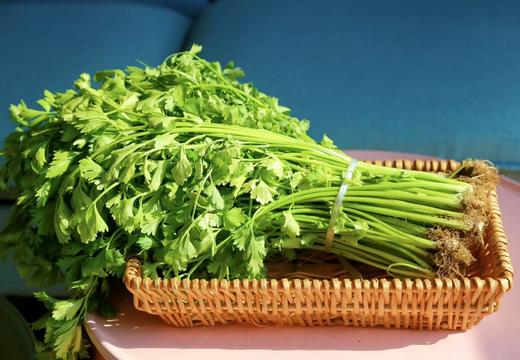 源频·芹菜 750g 商品图2