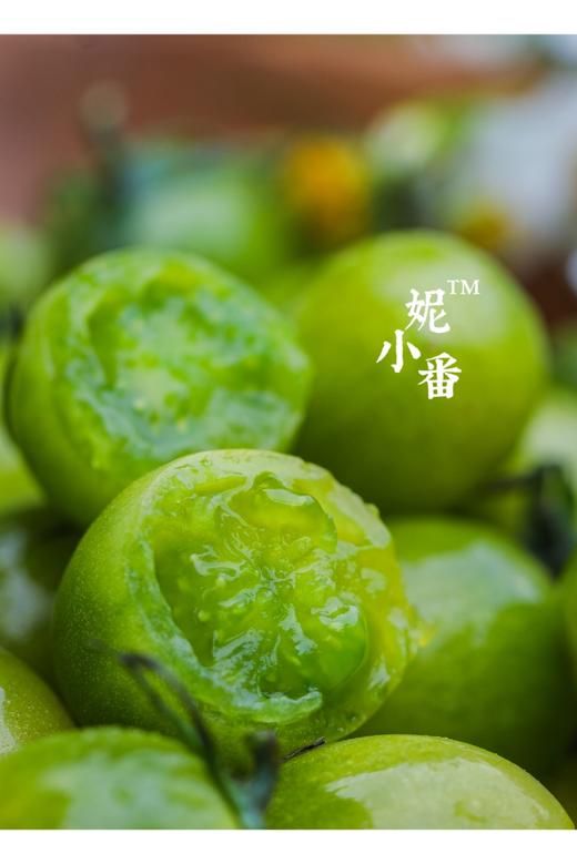 妮小番🍅青粲can豪华版 商品图1