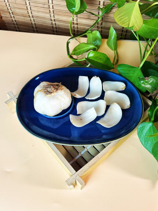 兰州生态百合9年 商品图2