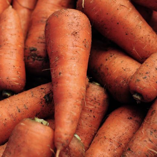 生态彩色胡萝卜 |  Eco-carrot 商品图3