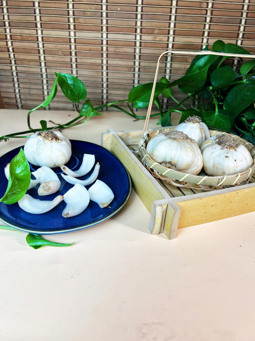 兰州生态百合9年 商品图3