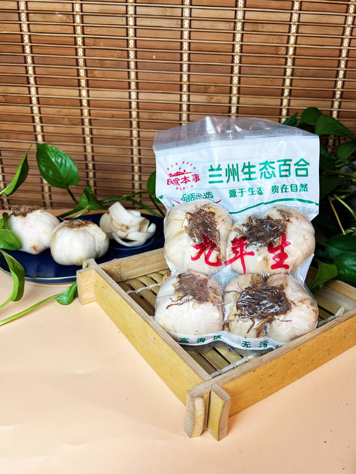 兰州生态百合9年 商品图1