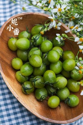 妮小番🍅青粲can豪华版