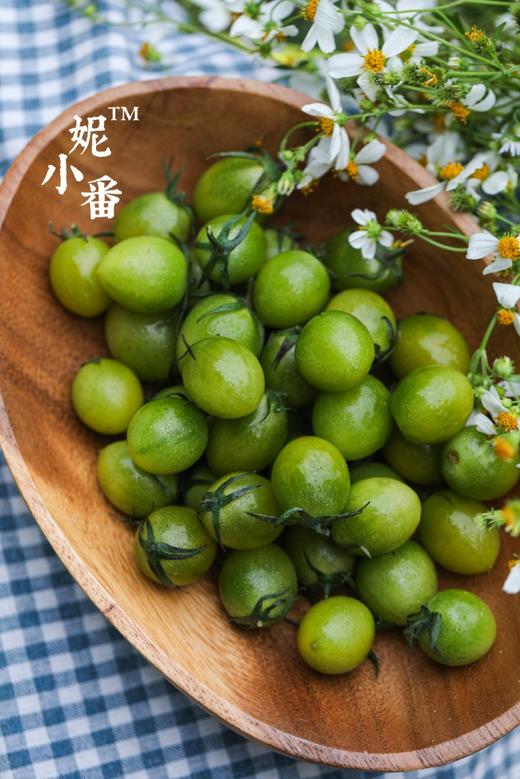 妮小番🍅青粲can豪华版 商品图0