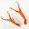 【严选】【甜辣风味 软骨完整 入口软弹 劲道耐嚼】小胡鸭甜辣鸭舌95g  （厂家直发） 商品缩略图5