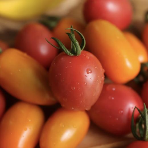 生态彩色圣女果 商品图0