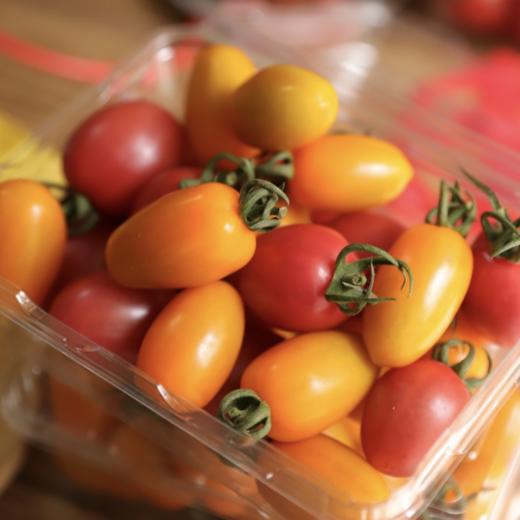 生态彩色圣女果 商品图2