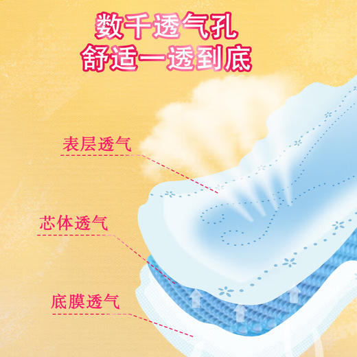 大王爱璐茜自在瞬吸250日用卫生巾13片 商品图2