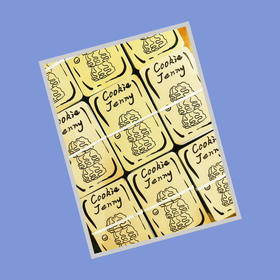 珍妮曲奇马口铁礼盒（净含量165g）