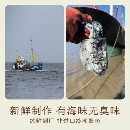 南食召 淡干墨鱼干 商品图2