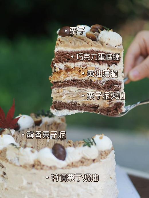 金岁秋栗 商品图3