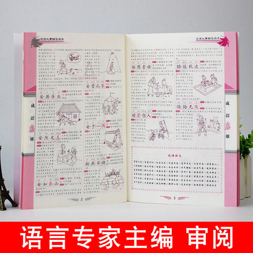汉字枭雄 +成语枭雄  汉字听写大赛  成语大赛辅导用书 商品图5