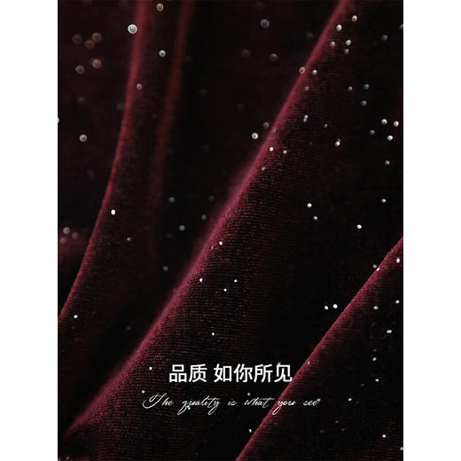 COCOBELLA优雅木耳边半高领亮片丝绒衬衫长袖打底衫TS7066-3 商品图3