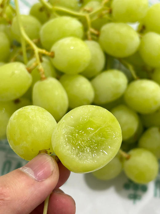 澳洲甜地球青提 商品图3