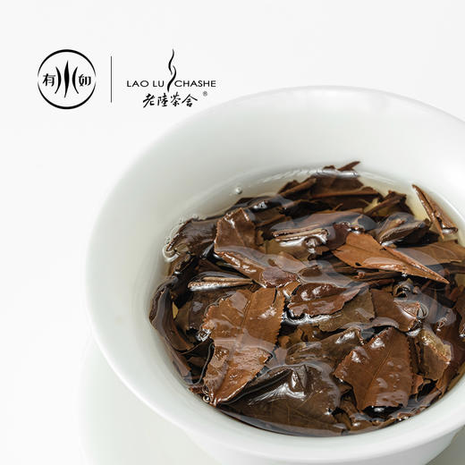 【赠水杯】老陆茶舍｜拾光•2013方家山寿眉老白茶  下单即赠闷泡水杯1个 商品图7
