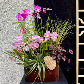 SAYS MOMENT 兰韵新春花艺沙龙