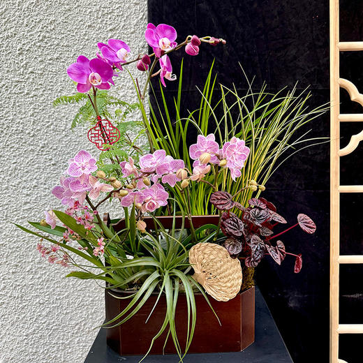 SAYS MOMENT 兰韵新春花艺沙龙 商品图0