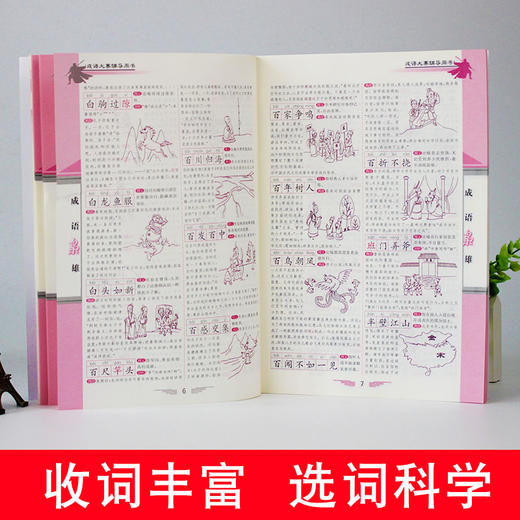 汉字枭雄 +成语枭雄  汉字听写大赛  成语大赛辅导用书 商品图6