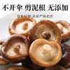 在菌屋 小香菇云南特产干货500g 无根肉厚 菇香浓郁 商品缩略图3
