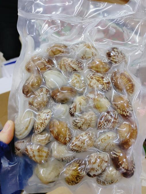 花哈3袋（蚬子） 商品图0