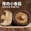 在菌屋 小香菇云南特产干货500g 无根肉厚 菇香浓郁 商品缩略图0