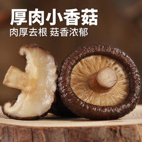 在菌屋 小香菇云南特产干货500g 无根肉厚 菇香浓郁