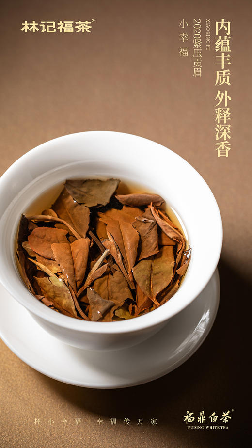 小幸福·紧压贡眉2020·简易装240g(5g*4*12) 商品图10