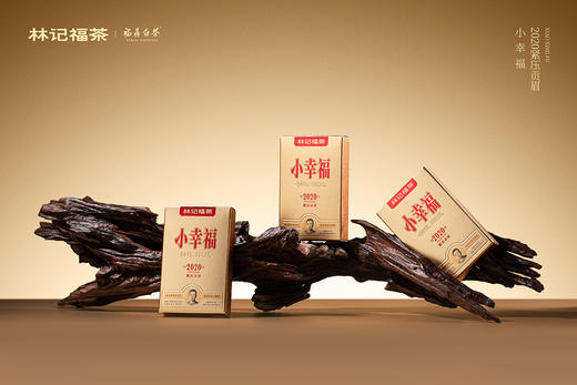 小幸福·紧压贡眉2020·简易装240g(5g*4*12) 商品图3