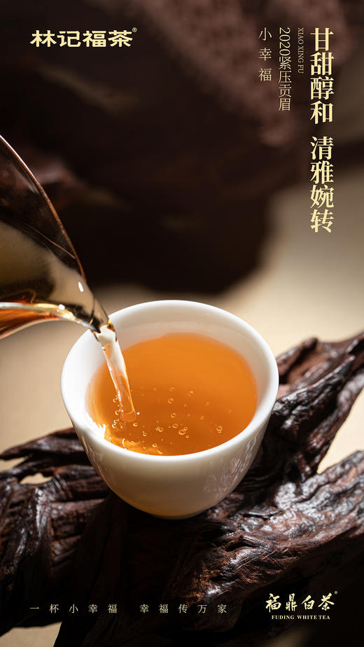 小幸福·紧压贡眉2020·简易装240g(5g*4*12) 商品图6