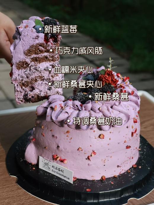 春来桑满枝 商品图3